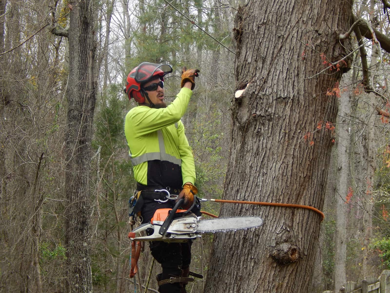 Gaycas Tree Services team Columbia SC