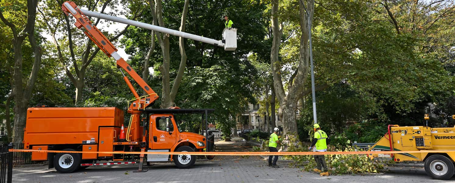 Debris Removal