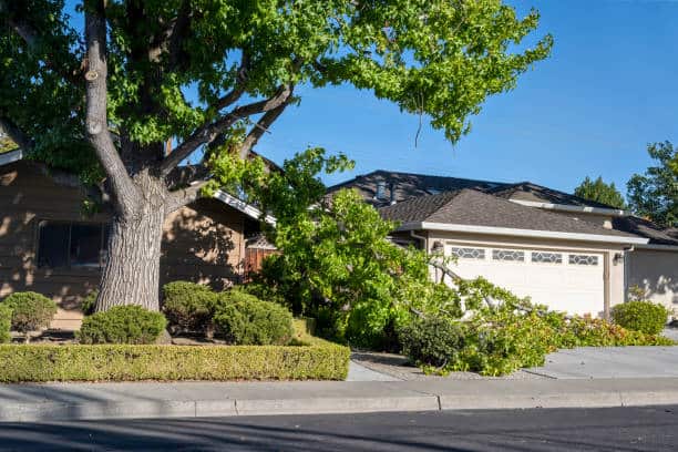 Emergency Storm Cleanup
